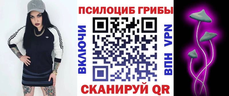 mega Завитинск Псилоцибиновые грибы Cubensis