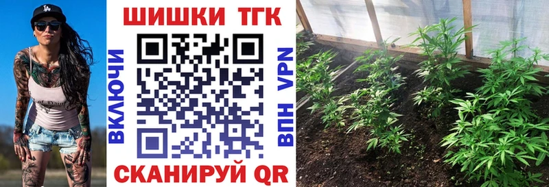Бошки Шишки семена Завитинск